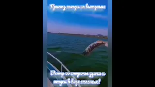 Хороших выходных в любую погоду!!!