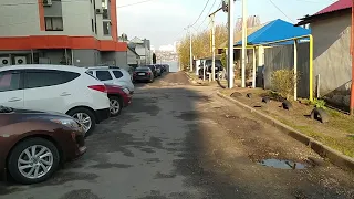 Утренняя прогулка по улице Перекопской