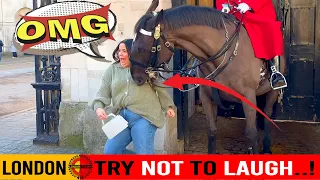 TRY NOT TO LAUGH..! Funny Moments King's Horse & Tourists