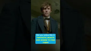 Did you notice this in FANTASTIC BEASTS AND WHERE TO FIND THEM?