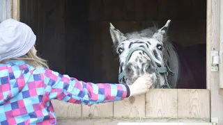 Adventszeit #20 WIR SIND REITER🐴⭐⭐