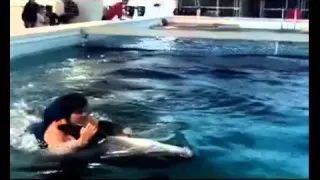 Дельфин помог слепой девочке прозреть