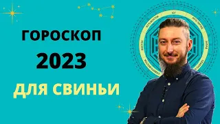 ГОРОСКОП ДЛЯ СВИНЬИ 2023 ГОД