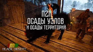 Black Desert - хроники П2П. Осады узлов и анонс территорий