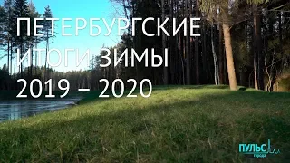 Петербургские итоги Зимы 2019 – 2020