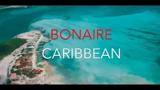 Caribbean - Bonaire Windsurfing, SUP and Multi Sport Holidays with Sportif Travel