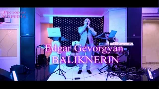 Edgar Gevorgyan - Baliknerin