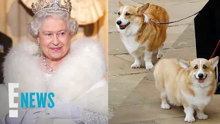 Queen Elizabeth's Corgis: Sarah Ferguson Provides Update | E! News