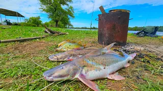 "NUNCA VI UNA COSA ASI" fue una locura esto,volví a la isla,pesca y cocina-NICO REYNOSO