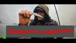Bass Fishing: Jerkbaits in the Grass