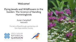 Flying Jewels and Wildflowers in the Garden: The Science of Banding Wildflowers