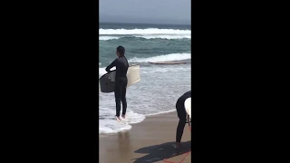 Shark eats seal at Nauset Beach