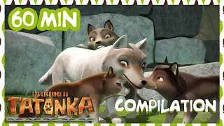 Tatonka Nouvelle Compilation 🐺Tremblement de terre 🌋 1H 🐺 Dessins animés de loups