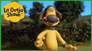 La Oveja Shaun 🐑 Perro feliz 🐑 Dibujos animados para niños