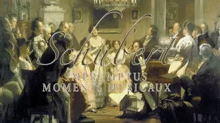 Schubert: Impromptus & Moments Musicaux