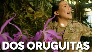 United States Botanic Garden and U.S. Army Band collab "Dos Oruguitas" from Disney's Encanto