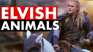 Learn Elvish Animal Names In 6 Minutes | Sindarin Vocabulary