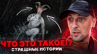 ЗУБАРЕВ И СТРАШНЫЕ ИСТОРИИ №12 |  Я НЕ ХОЧУ ЭТО СМОТРЕТЬ