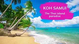 Why you should spend your next vacation on Koh Samui! 🫶🏻