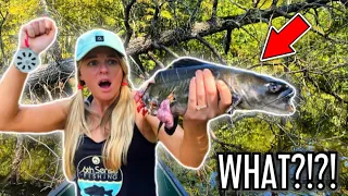 She's UPSET.... The SWAMP MONSTER Stole Our CATFISH!!!! -- (CATCH and COOK!)