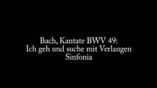 Johann Sebastian Bach, Kantate BWV 49, Ich geh und suche mit Verlangen, Sinfonia