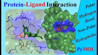 Analysing Protein-Ligand Interactions : Tutorial