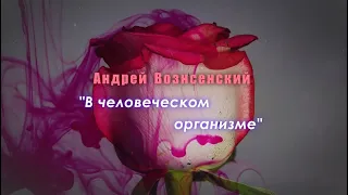 Андрей Вознесенский - "В человеческом организме"