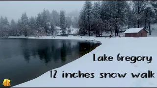Lake Gregory 12 inches snow walk Crestline CA in 4K