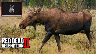 RDR2 где найти Лося (самку)