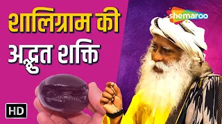 शालिग्राम की अद्भुत शक्ति - Sadhguru Hindi