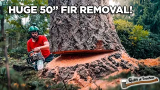 Removing a LARGE Dangerous Fir Tree!