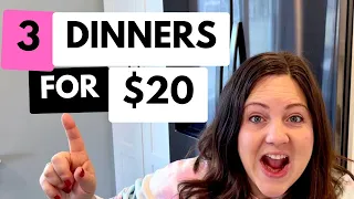 As low as $1.33 a Serving! Cheap Dinner Ideas For Families | 3 Meals for $20