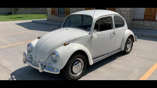 1967 Volkswagen Beetle Survivor