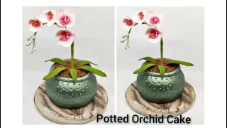 Potted Orchid Cake   Orchid cake