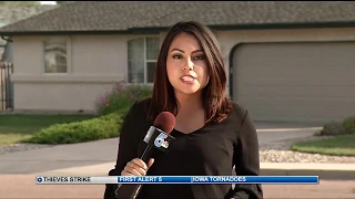 Thieves strike Colorado Springs neighborhood