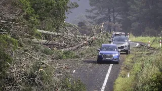 Traurige Bilanz nach Tropensturm in Neuseeland