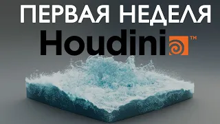 Первая неделя в HOUDINI