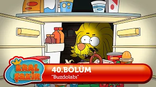 Kral Şakir 40. Bölüm - Buzdolabı