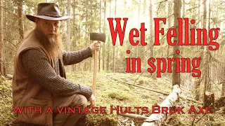 Wet Felling, or syrfällning in Swedish. AMAZING firewood cutting! Hults Bruk vintage axe!