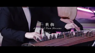 A Spray of Plum Blossoms 🌸《一剪梅》– East-West Instrumental Cover (feat. Miss Lou)