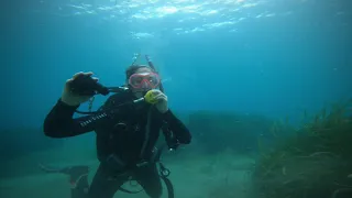 Curso Open Water Diver Rivemar Dive Resort