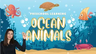 Preschool Learning - Ocean Animals | Kids Learning Marine Animals | Kids Video | Educational