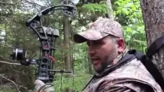 Horn Stars Outdoors return bear hunting to Taxis River Outfitters, New Brunswick, Canada