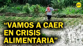 Emergencia en Perú: "El país va a caer en una crisis alimentaria grave, se perdieron los cultivos"
