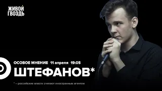 Александр Штефанов*: Особое мнение / 11.04.24 @Chamade