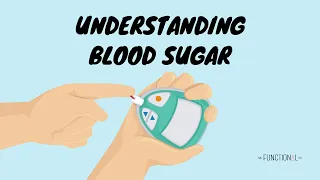 Episode 3: Understanding Blood Sugar - The Most Important Principle of The Body