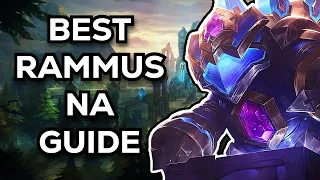 BEST RAMMUS NA GUIDE