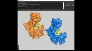 Using Molecular Visualization Software, Pymol, to understand metabolic enzymes: Hexokinase