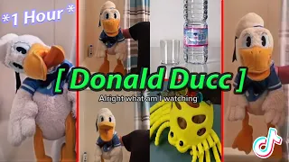 **1 Hour** Funny Donald Ducc TikToks 2024 - Best Donald Ducc TikTok Videos  @DonaldDucc