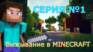 Minecraft ЛетсПлей#1 - Идеальная генерация!!!Выживание в майнкрафт без МОДОВ)))